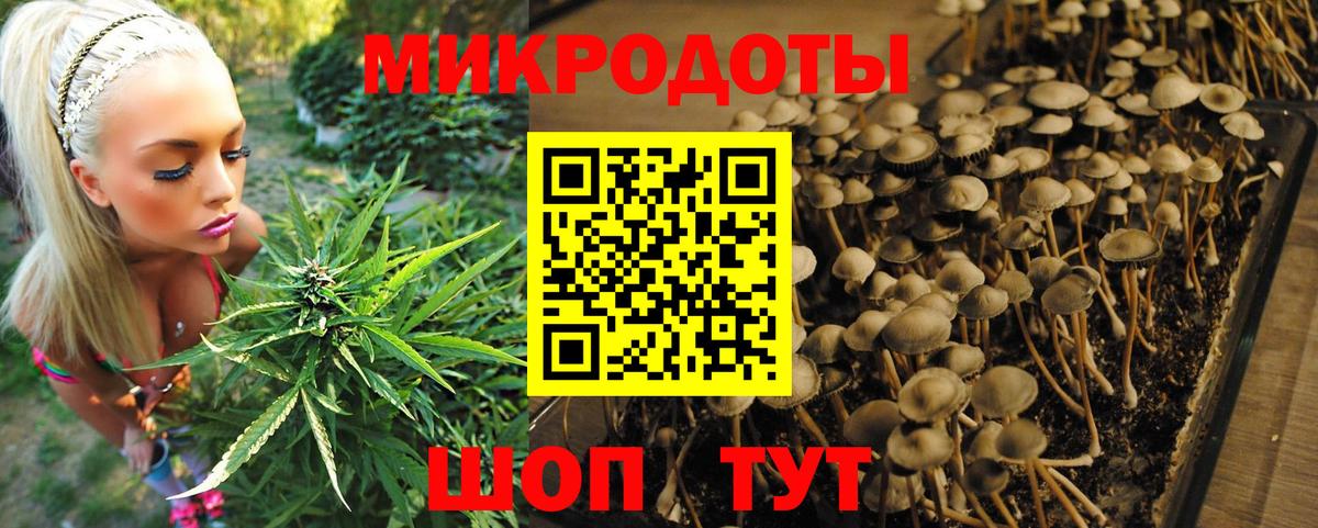 продажа наркотиков  Псилоцибиновые грибы прущие грибы  Псилоцибиновые грибы MAGIC MUSHROOMS  Вход с VPN  Лосино-Петровский 