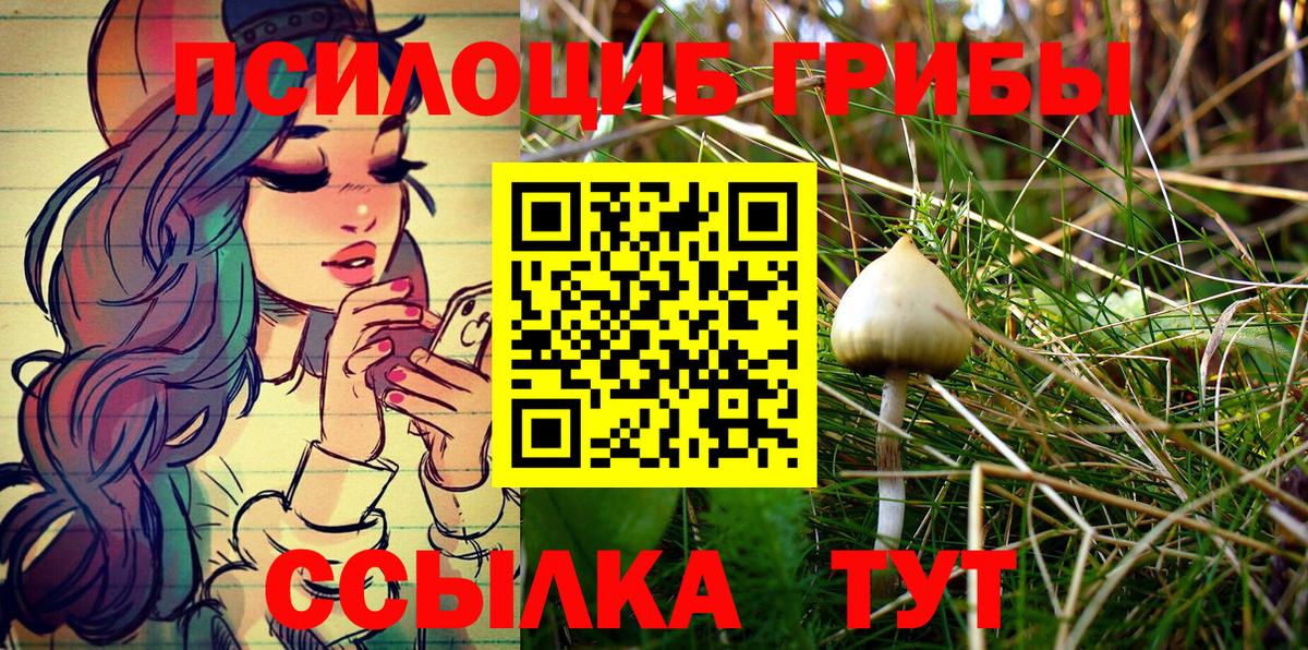 Псилоцибиновые грибы мухоморы Лосино-Петровский